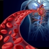 Kolesterol nedir?